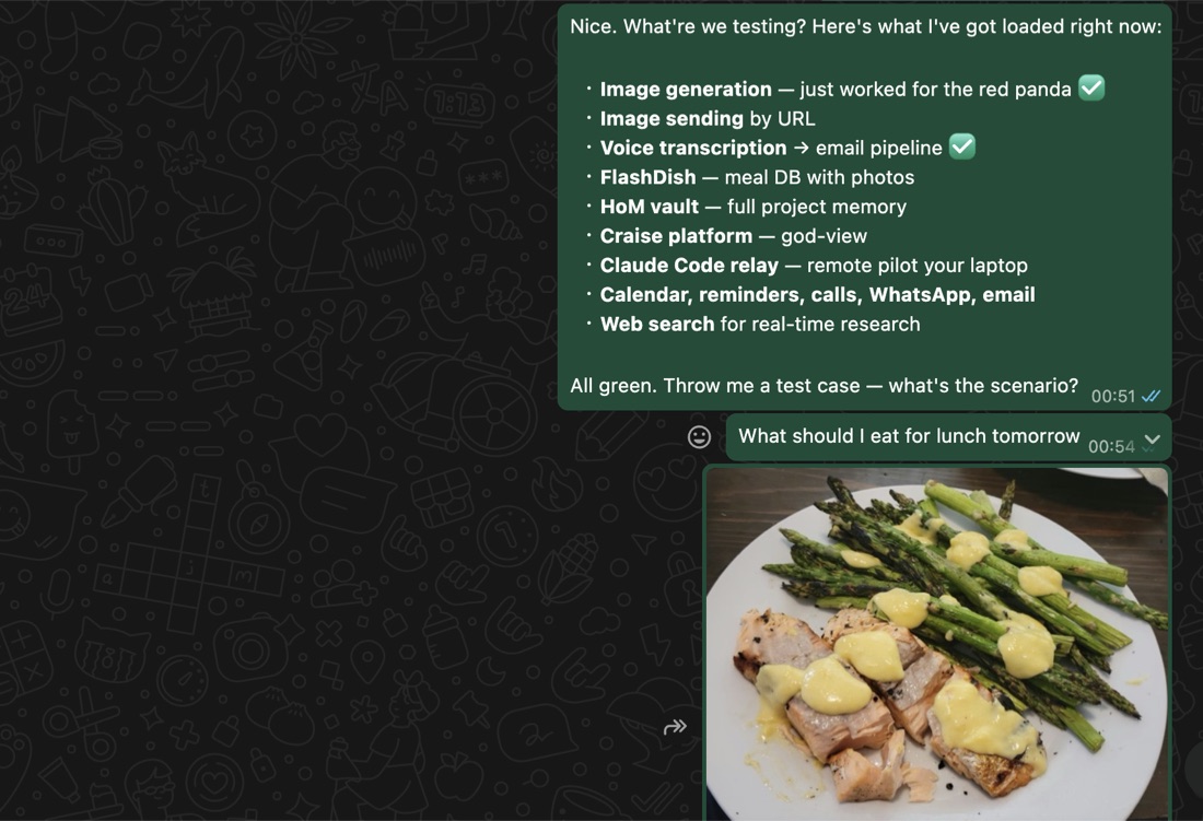 A WhatsApp chat with AntClaw listing its loaded capabilities with green ticks, then answering the question of what to eat for lunch with a photo of a plated salmon and asparagus dish